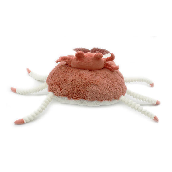 Peluche crabe Cassecou et son bébé Ptipotos terracotta