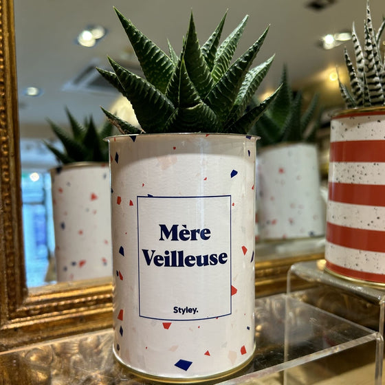 Aloe vera mère veilleuse, Styley. Idée cadeau fête des mères.