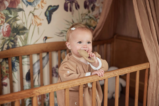 Anneau de dentition ourson Teddy Bear Biscuit Jollein