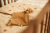 Doudou attache-tétine ours Bear Jollein marron bébé