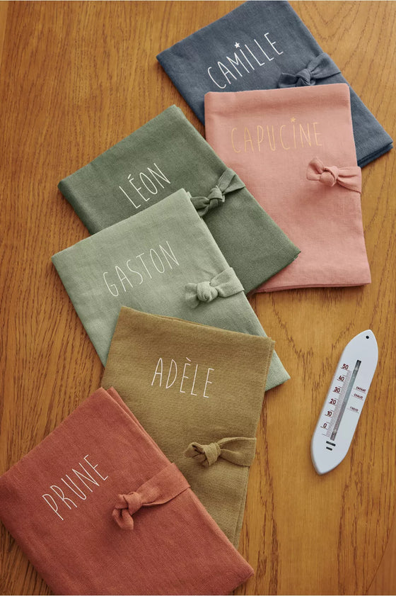 protège carnet de santé personnalisable tomette Petit Picotin – housse carnet bébé coton