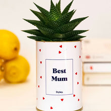  Aloe vera best mum, Styley. Idée cadeau fête des mères. 