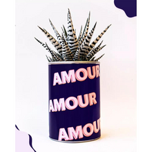  Cactus Amour Amour, Styley.