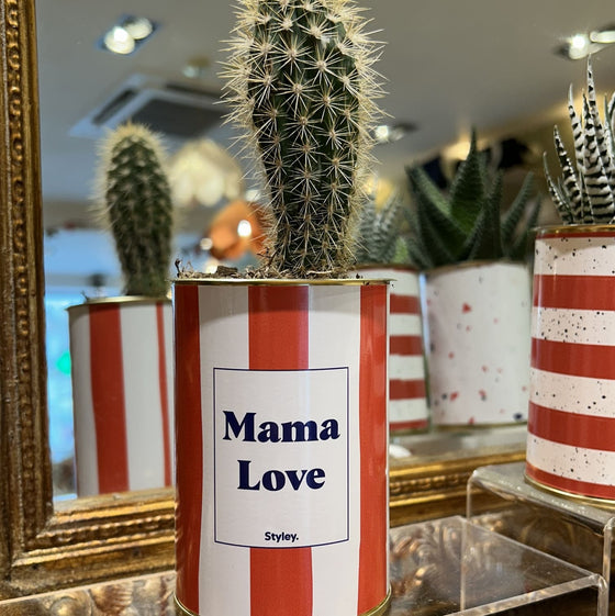 Cactus mama love, Styley. Idée cadeau fête des mères.