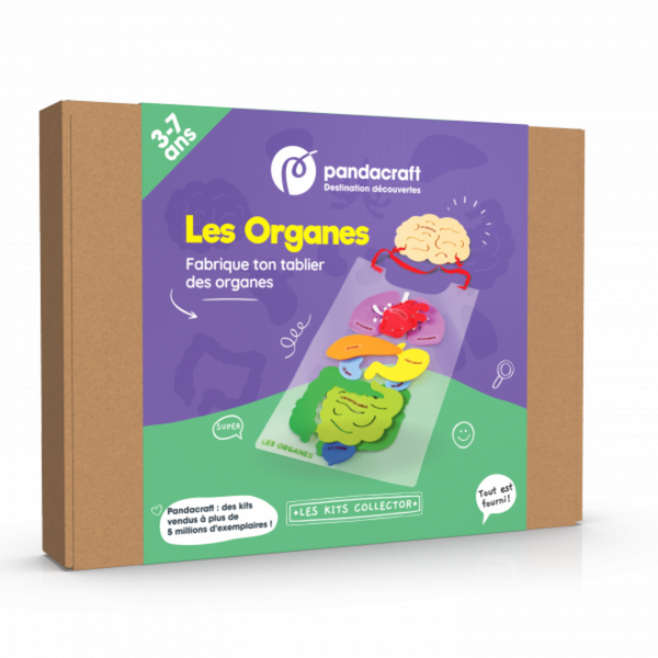 Kit Pandacraft Les Organes