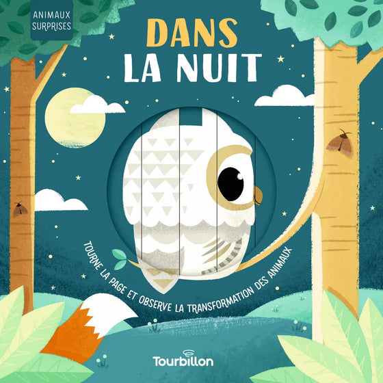 Livre Dans la nuit Tourbillon.