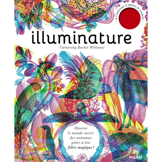 Livre Illuminature Milan.