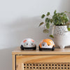 Lot de deux voitures à friction pour bébé en forme de chat et de souris – Tiger Tribe