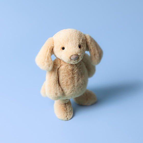 Peluche chien beige Jellycat Bashful – doudou tout doux pour bébé et enfant, peluche chien Orlando avec grandes oreilles tombantes