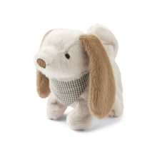  Peluche chien Dev motorisée Liewood.