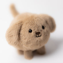  Peluche chiot Caboodle Jellycat douce et mignonne pour enfant