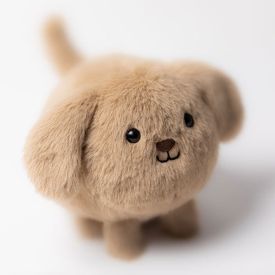 Peluche chiot Caboodle Jellycat douce et mignonne pour enfant