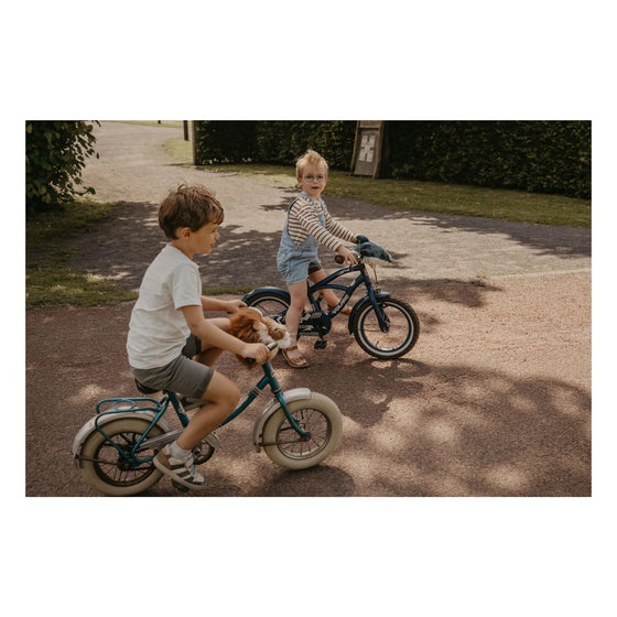 Peluche de guidon Lion Wild & Soft – Accessoire vélo trottinette enfant