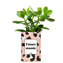  Plante grasse - Future Mamie - Styley
