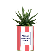  Plante grasse Styley en boîte avec message “Maman a toujours raison” – déco originale pour maman