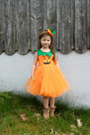 Détail robe princesse citrouille Pumpkin Patch Great Pretenders