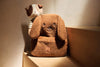 Sac à dos enfant chien Diego Jollein marron en bouclette