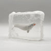 Savon transparent pour enfant avec figurine béluga surprise à l’intérieur