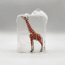  Savon transparent pour enfant avec figurine kangourou surprise à l’intérieur
