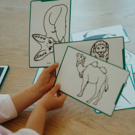 Tablette de dessin pour enfants Kidywolf Animaux autour du monde – jeu éducatif et créatif dès 3 ans pour découvrir la faune mondiale.