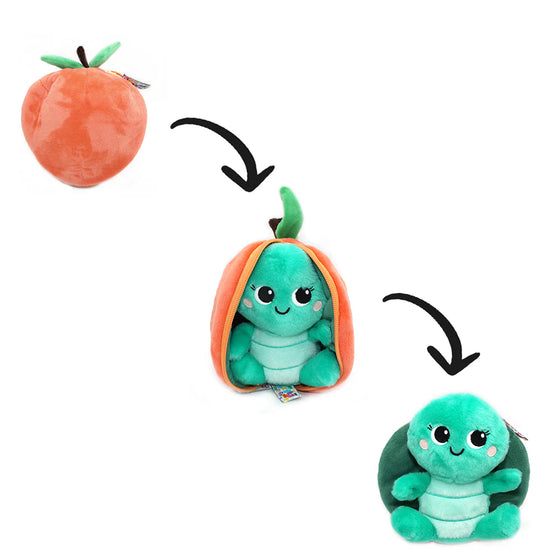 transformation de la peluche peche en tortue flipetz les déglingos