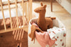 Doudou attache tétine lama - Caramel - Jollein