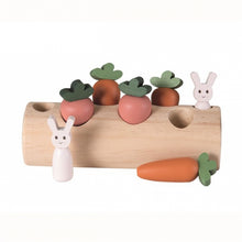  Buche en bois avec lapins et légumes - Egmont Toys